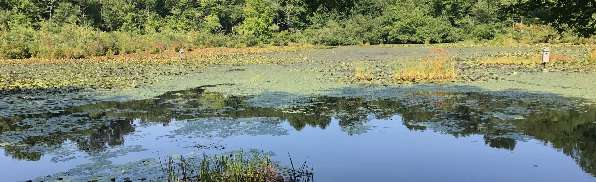 Pequot Woods, Connecticut 365 Reviews, Map AllTrails