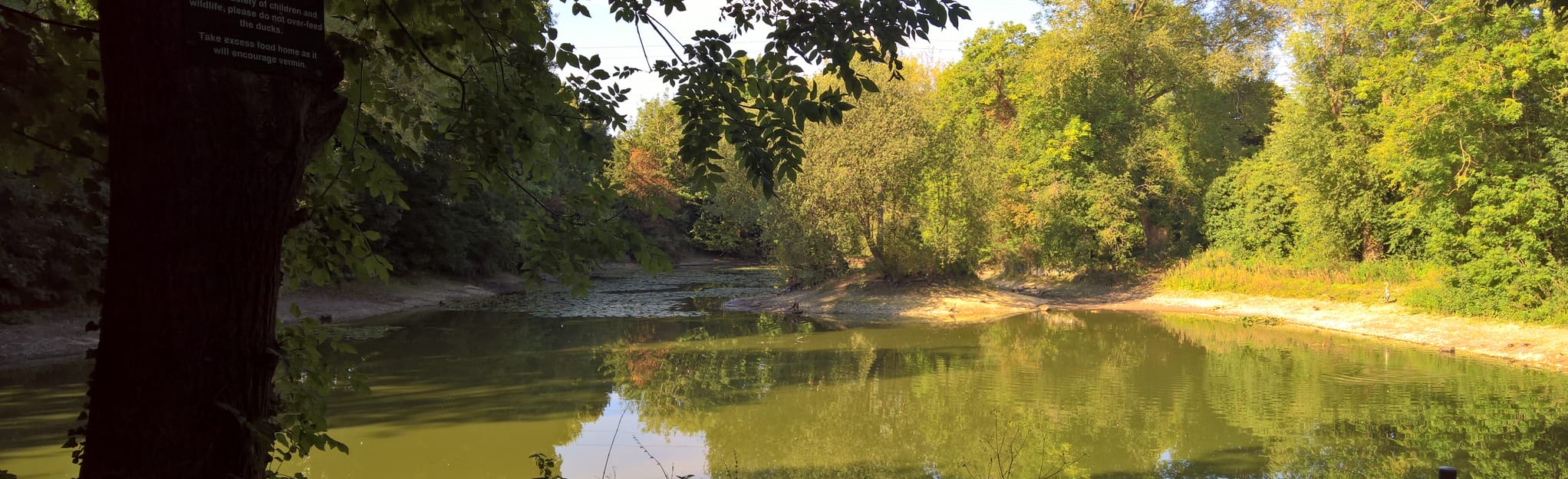 Wendover Woods and Buckland Circular, Buckinghamshire, England 87