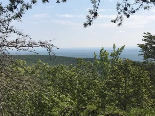 Best 10 Hikes and Trails in Cheaha State Park | AllTrails