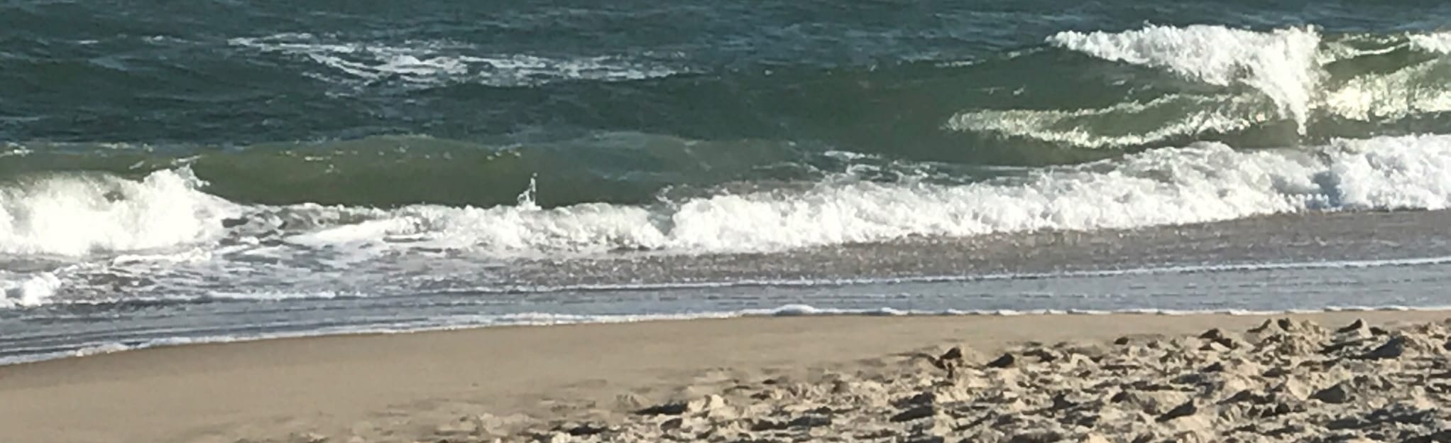 Weather beach haven new jersey