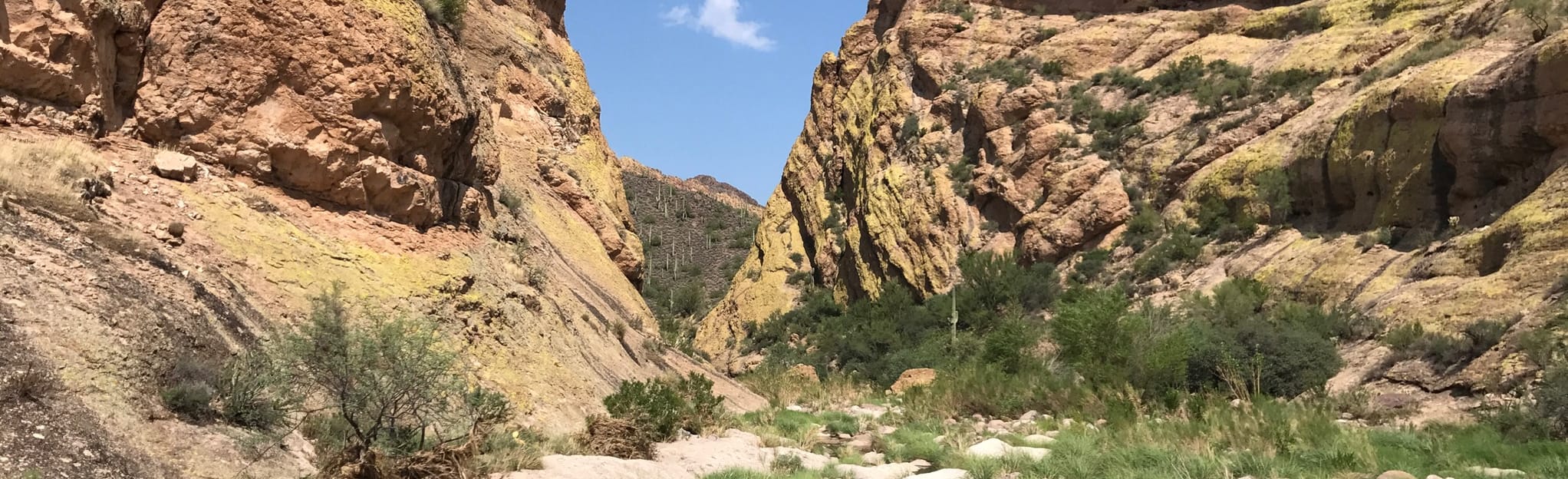 Hackberry Spring via Hackberry Spring Trail Loop, Arizona 178 Reviews