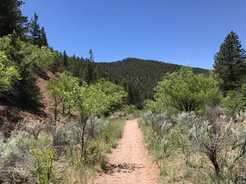 10 Best Hikes And Trails In Santa Fe National Forest Alltrails