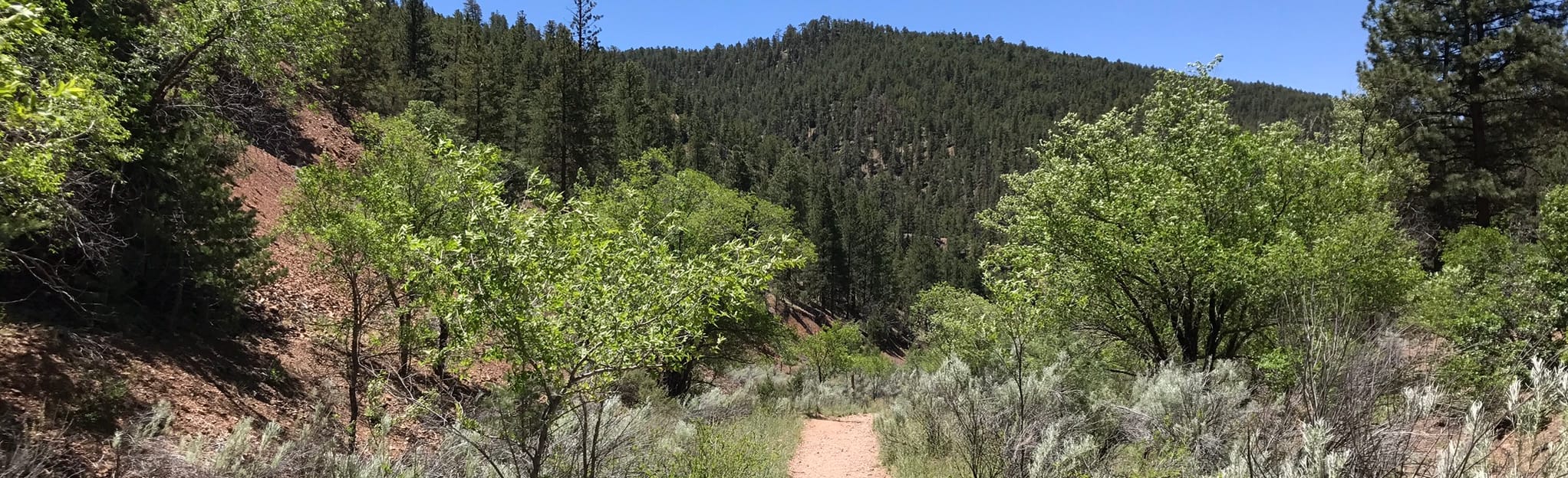 Chamisa Trail 689 Photos NouveauMexique Randonnée AllTrails