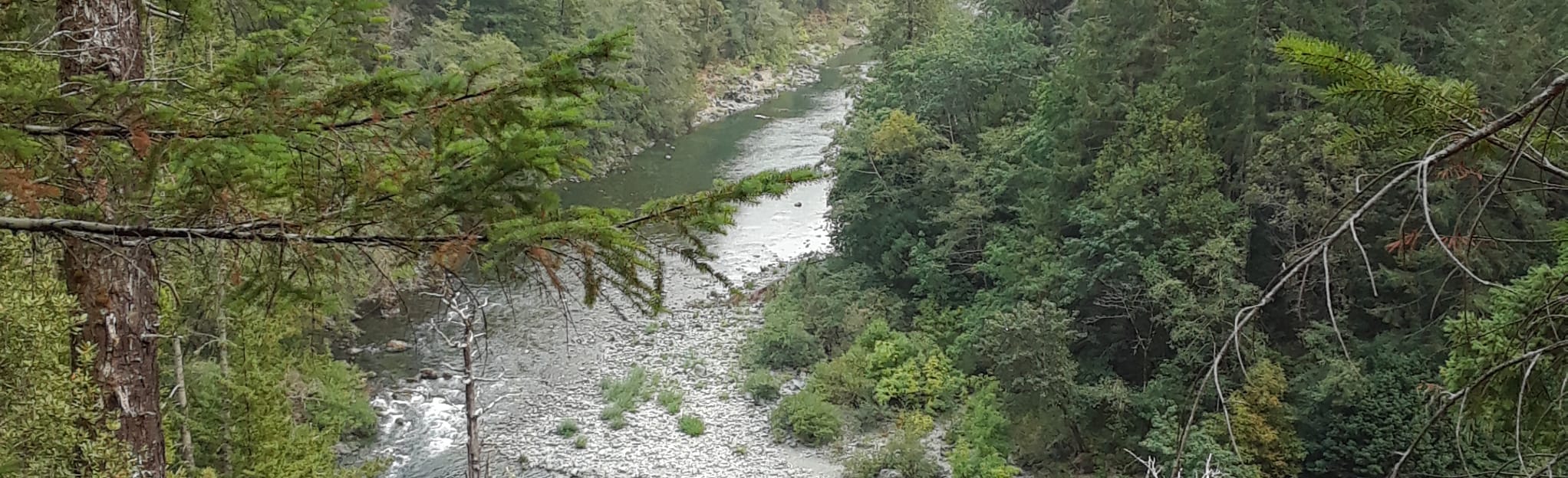 Craigs Creek Trail 89 Reviews, Map California AllTrails