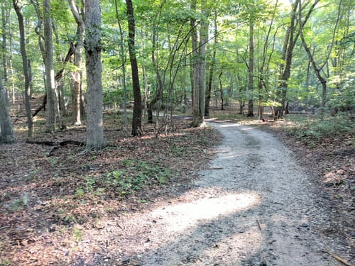 Wildwood State Park Trail Map Best 10 Trails In Wildwood State Park | Alltrails