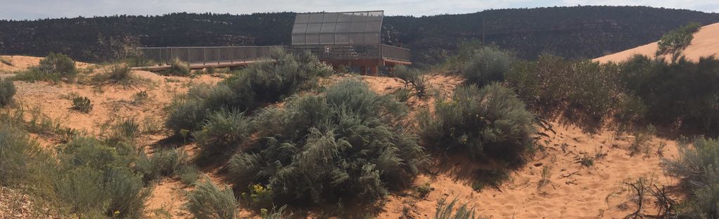 Find Bigfoot at Coral Pink Sand Dunes