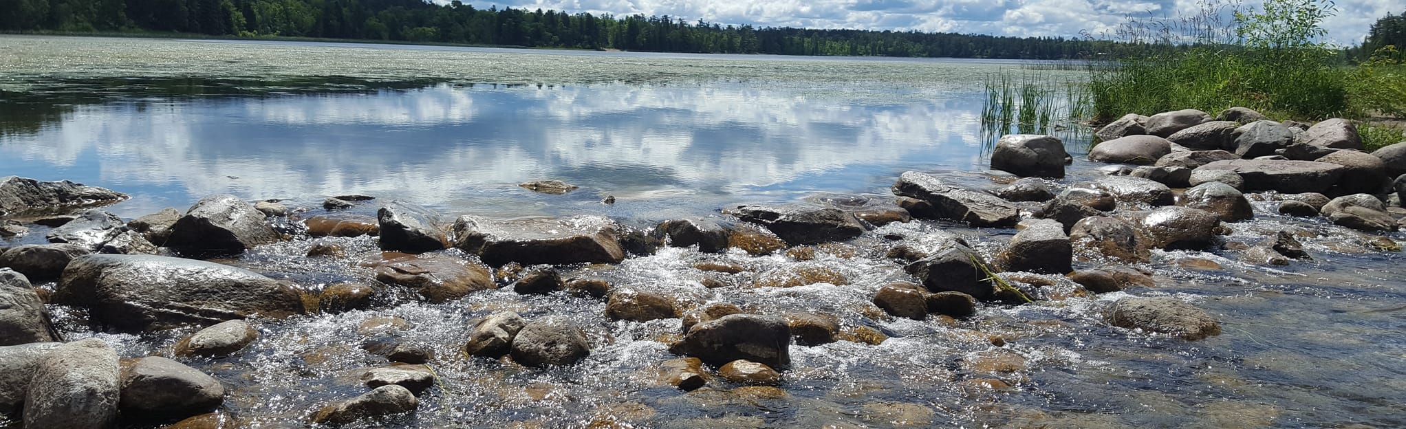 Mississippi Headwaters Trail Map, Guide Minnesota AllTrails