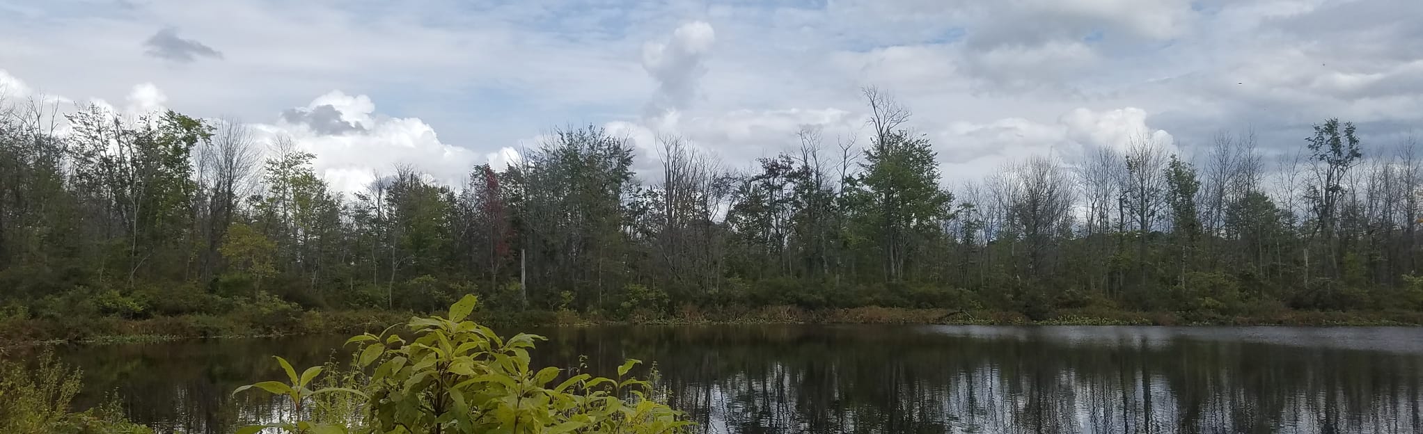 Spicer Lake Nature Preserve 188 Reviews, Map Indiana AllTrails