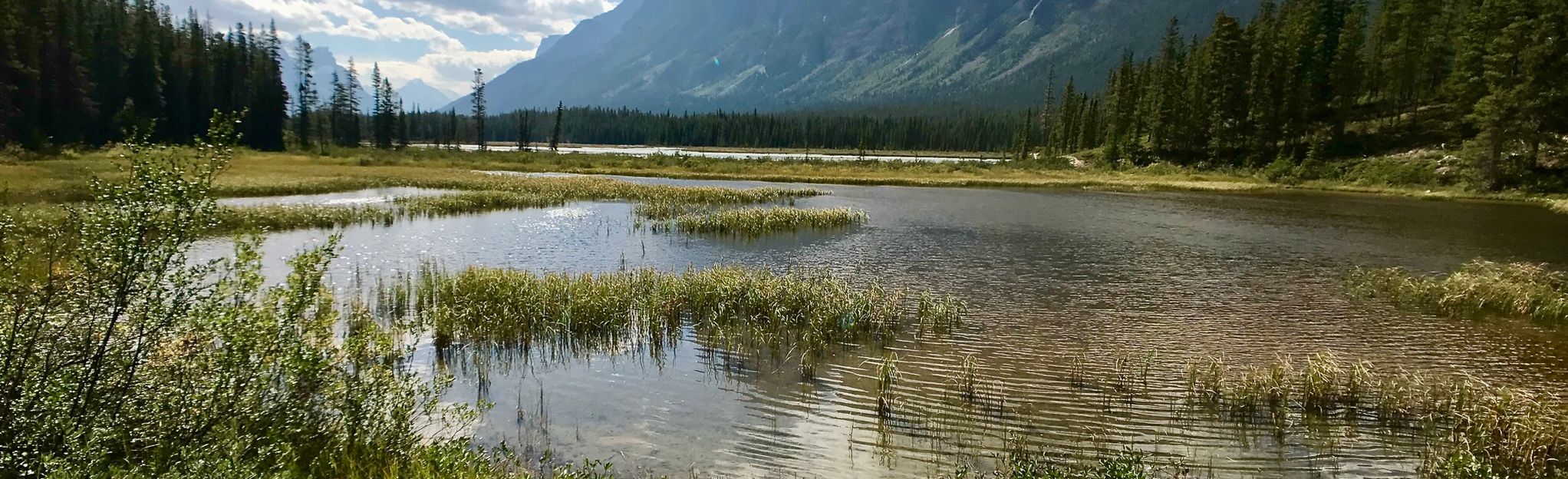 Chaba Trail Sunwapta River To Fortress Lake 412 Fotos Alberta   EyJidWNrZXQiOiJhc3NldHMuYWxsdHJhaWxzLmNvbSIsImtleSI6InVwbG9hZHMvcGhvdG8vaW1hZ2UvMTk2ODEyNDMvNGVkZDk2MWRmZDRmYmI5ZWVmMWNmM2Q5NmFhOTQxOTYuanBnIiwiZWRpdHMiOnsidG9Gb3JtYXQiOiJqcGVnIiwicmVzaXplIjp7IndpZHRoIjoyMDQ0LCJoZWlnaHQiOjYyNCwiZml0IjoiY292ZXIifSwicm90YXRlIjpudWxsLCJqcGVnIjp7InRyZWxsaXNRdWFudGlzYXRpb24iOnRydWUsIm92ZXJzaG9vdERlcmluZ2luZyI6dHJ1ZSwib3B0aW1pc2VTY2FucyI6dHJ1ZSwicXVhbnRpc2F0aW9uVGFibGUiOjN9fX0=