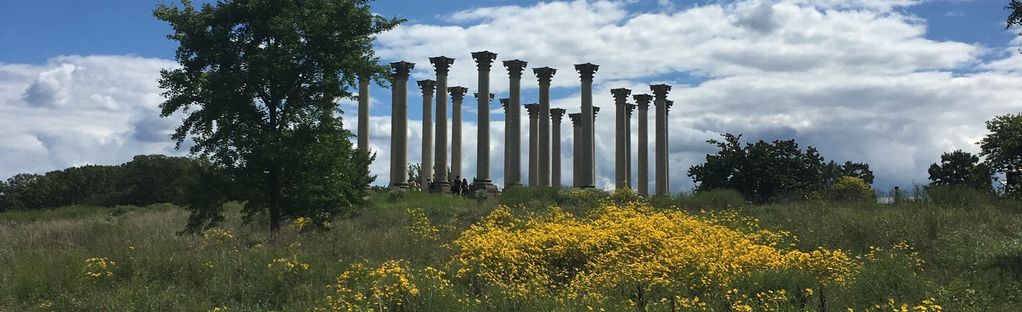 are dogs allowed at the national arboretum