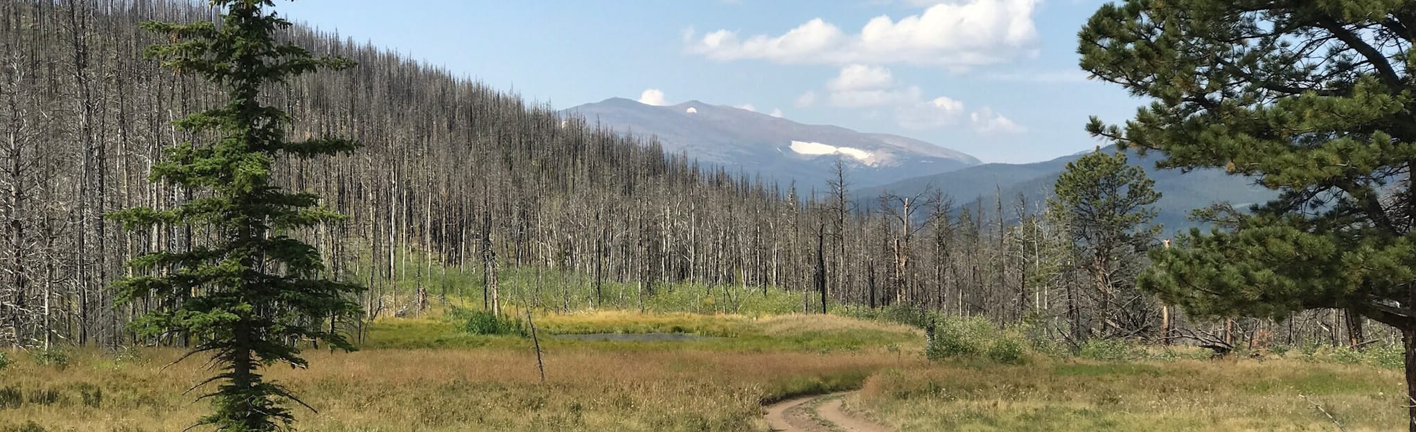 Old Flowers Road, Colorado 192 Reviews, Map AllTrails