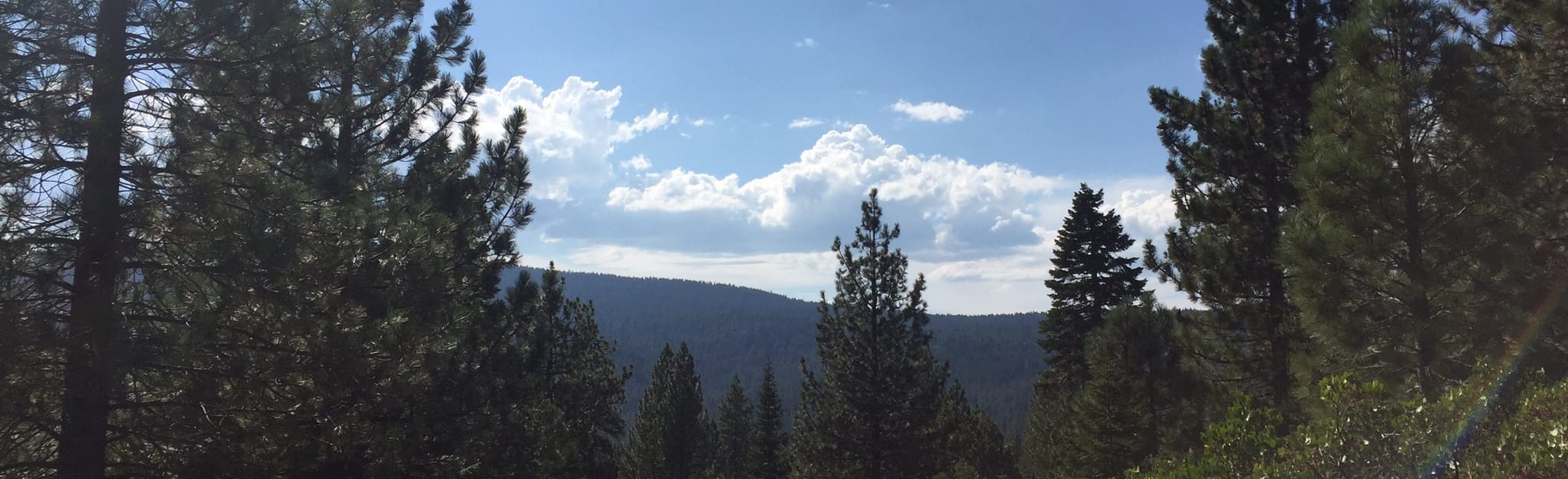 Bald Mountain via Sawtooth, Happy Face, and Bald Mountain Road Loop, 35