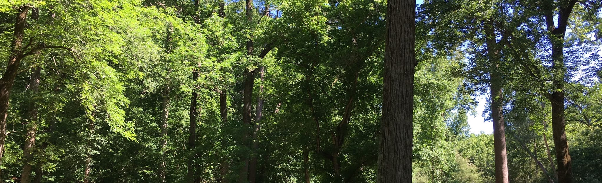 Indian Springs Nature Trail Map, Guide AllTrails