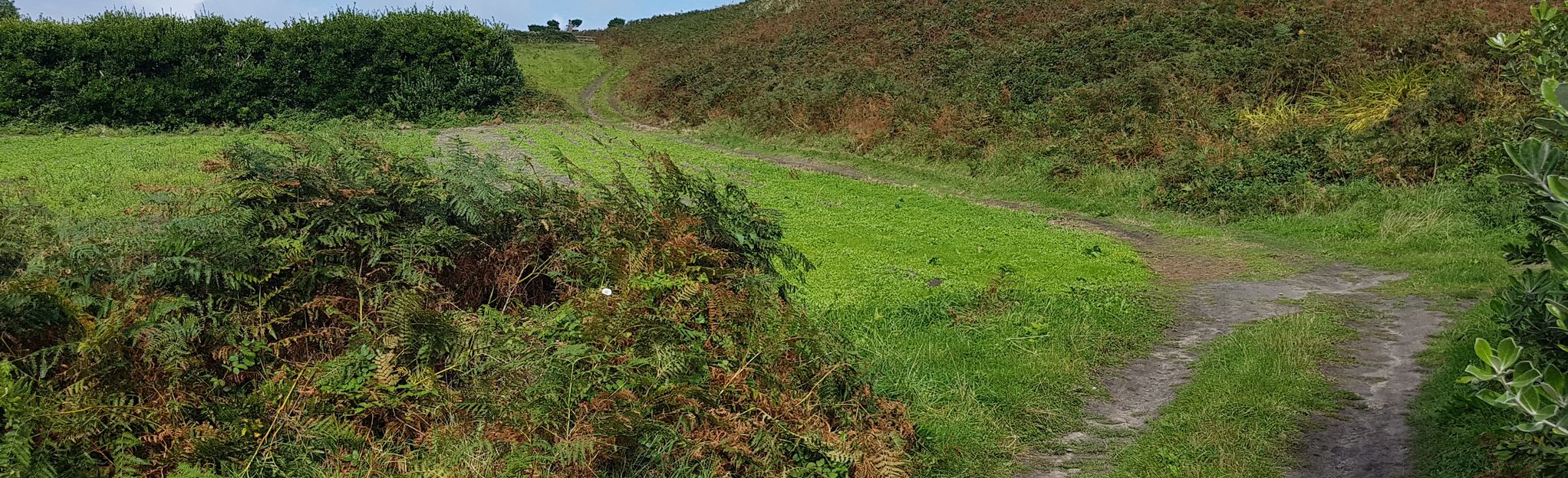 St. Martins Walk - Interior loop: 31 Fotos - Cornwall, England | AllTrails