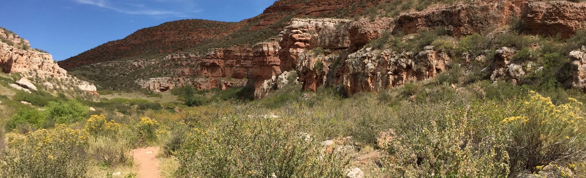 Ruby Wash and Big Hole Wash Short Loop Trail, Colorado - 104 Reviews ...