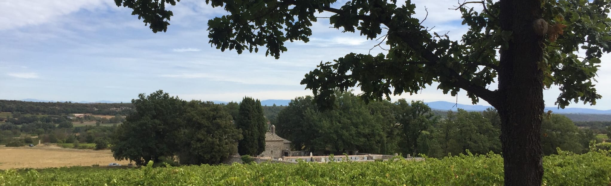 EsparrondePallières Var, France AllTrails