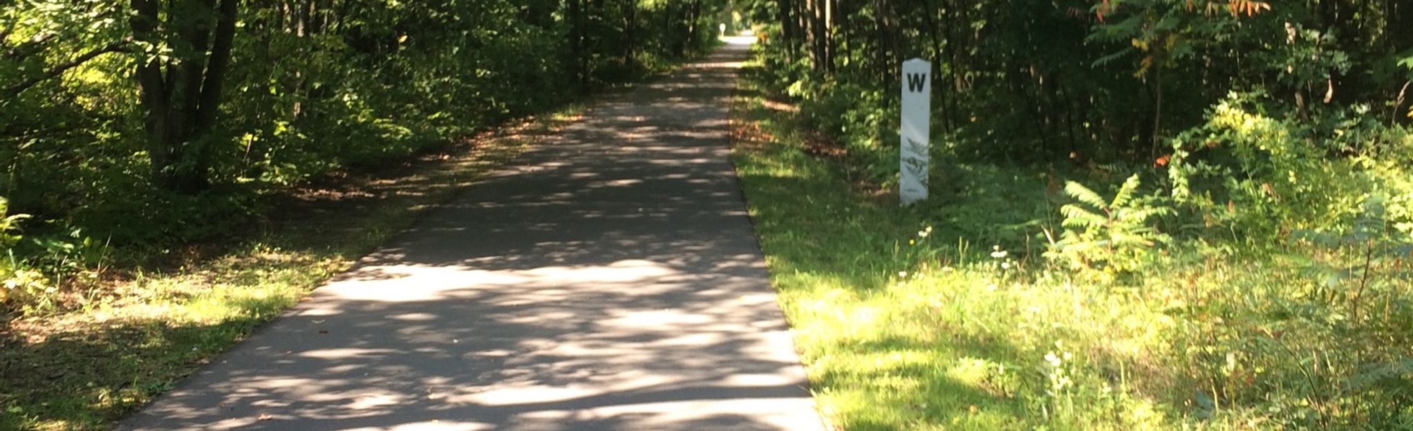 Hart-Montague Bicycle Trail, Michigan - 172 Reviews, Map | AllTrails