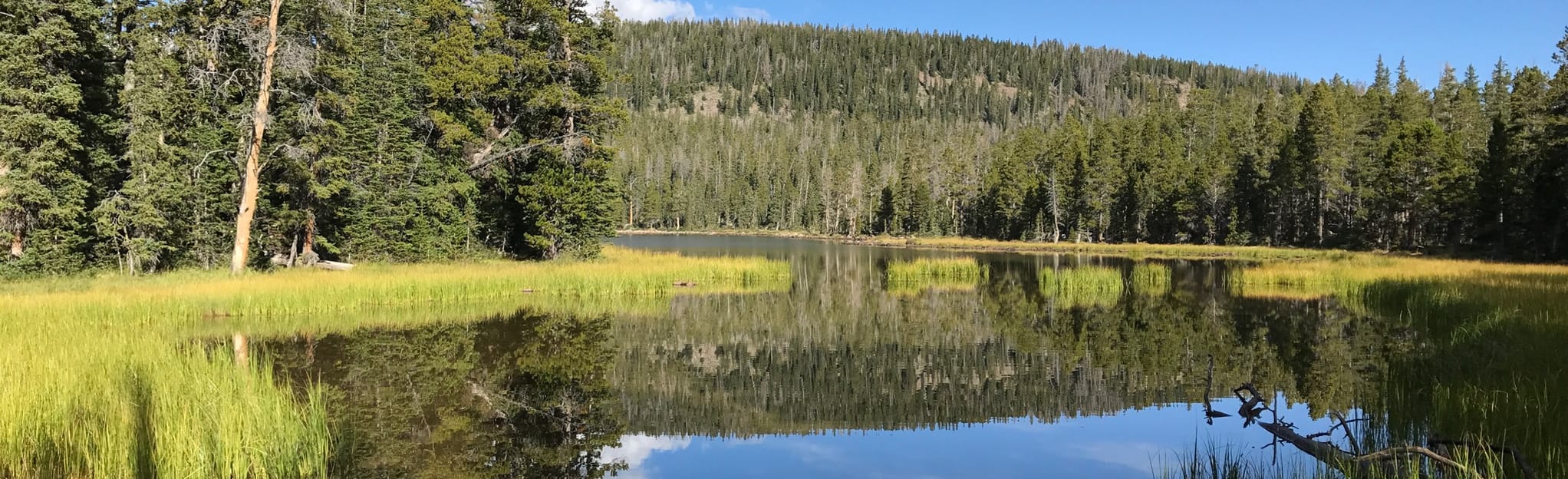 Tamarack and Jessen Lake via Tamarack Lake Trail 55 Reviews, Map