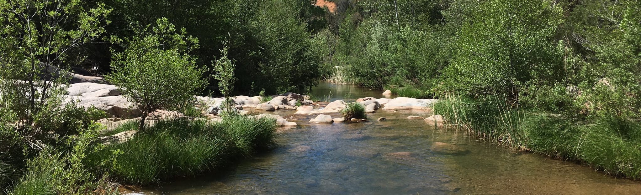 Ellison Creek Cascades, Arizona 505 Reviews, Map AllTrails