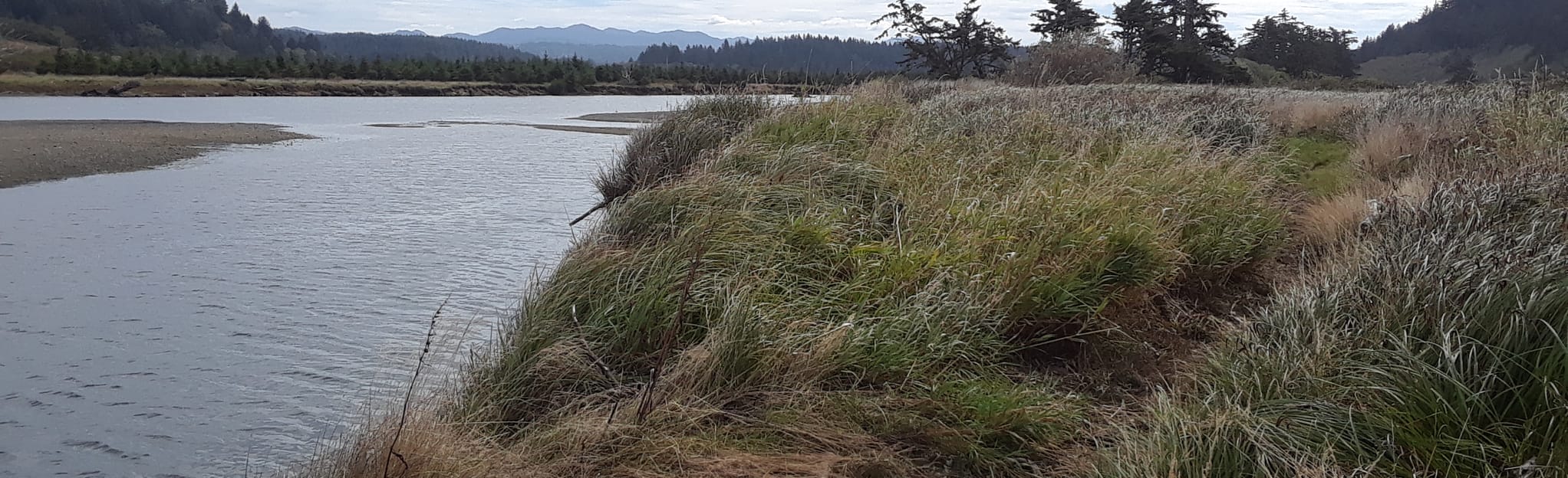 Mouth of Sixes River Trail 28 Reviews, Map Oregon AllTrails