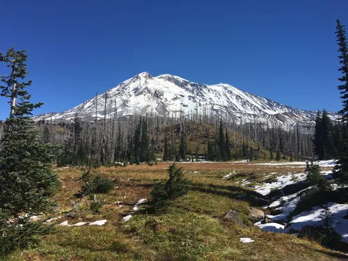 Best Hikes and Trails in Mount Adams Wilderness