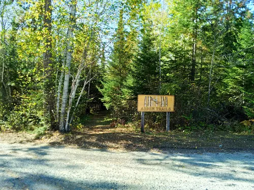 Best Kid Friendly Trails in Sioux Narrows Provincial Park | AllTrails