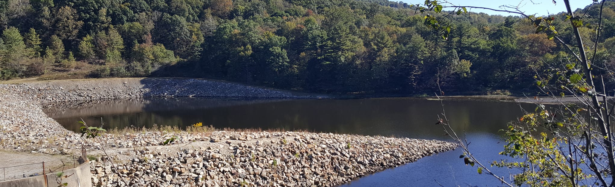 Yellow Creek Lake Trail, Pennsylvania 58 Reviews, Map AllTrails