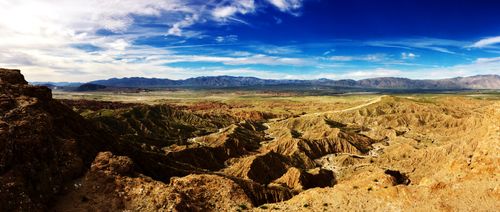 are dogs allowed at anza borrego state park