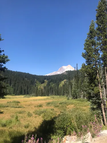 Hikes near government clearance camp