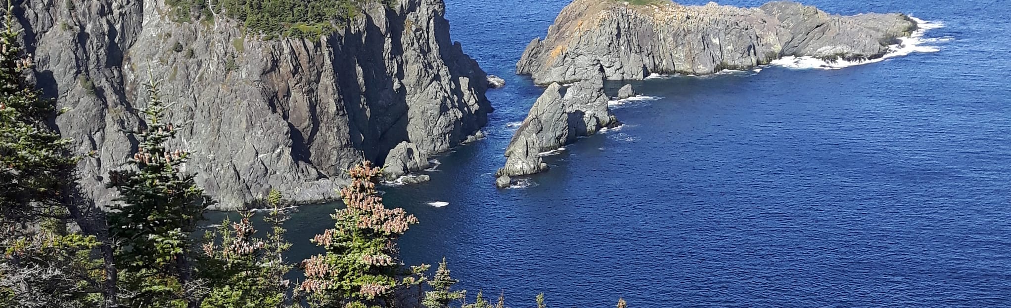 Black Head North via Stiles Cove Path 96 Reviews, Map Newfoundland and Labrador, Canada