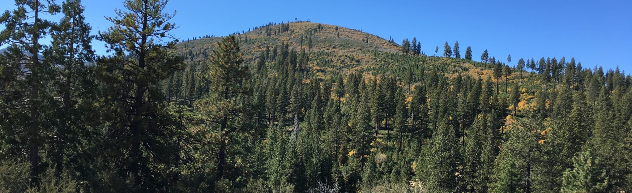 Dog Valley Overlook, California 43 Reviews, Map AllTrails