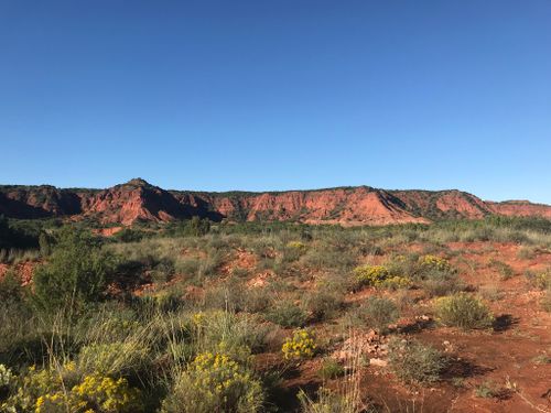 are dogs allowed at caprock canyon state park