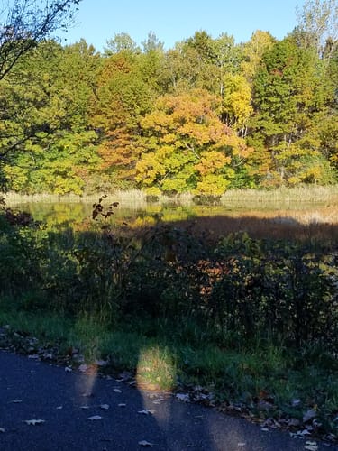 Pine Point Regional Park Die besten Routen in 2023 AllTrails