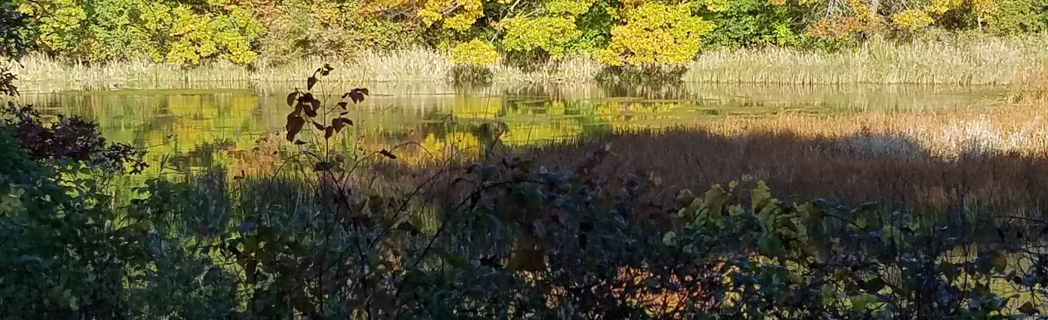 Gateway Bike Trail, Minnesota - 200 Reviews, Map | AllTrails