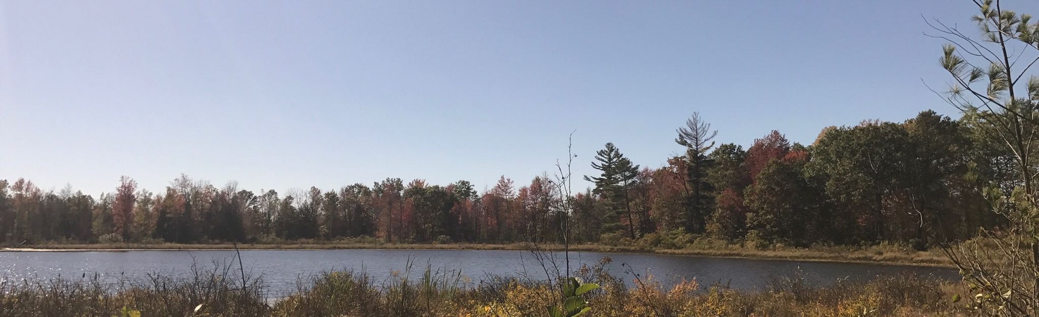 Big Mud Lake Trail - Michigan | AllTrails