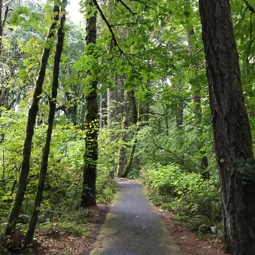 Best 10 Hikes and Trails in Tryon Creek State Natural Area AllTrails