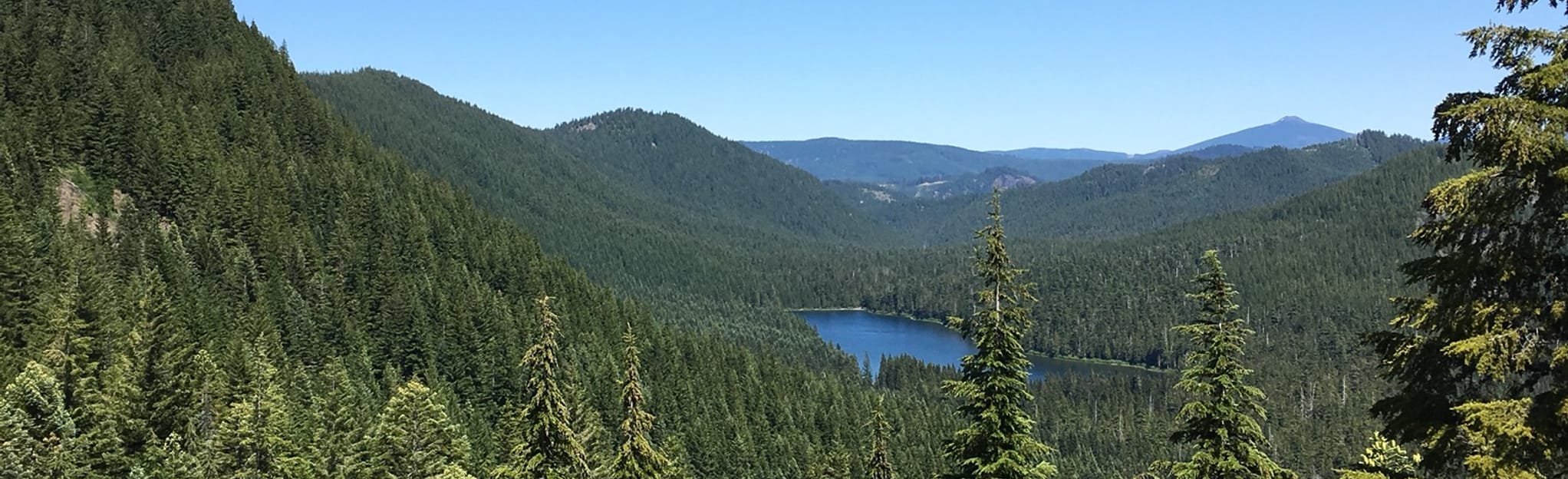 Elk Lake OHV Trail, Oregon 22 Reviews, Map AllTrails