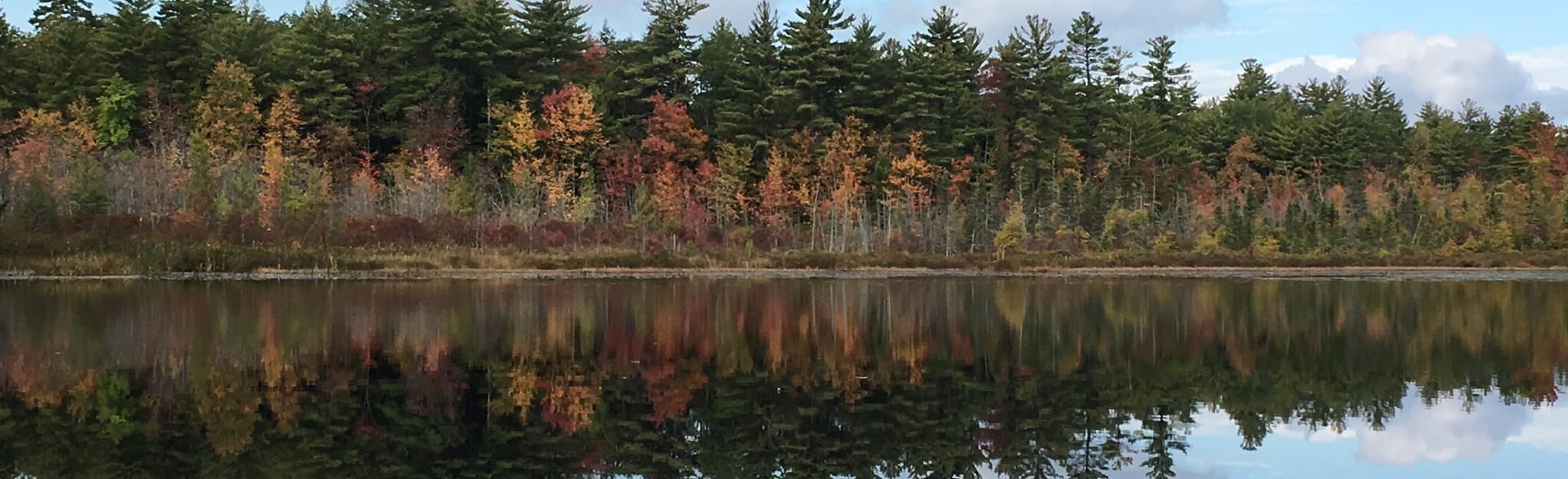 Lynx and Beaver Pond Trail Loop 155 Reviews, Map New Hampshire