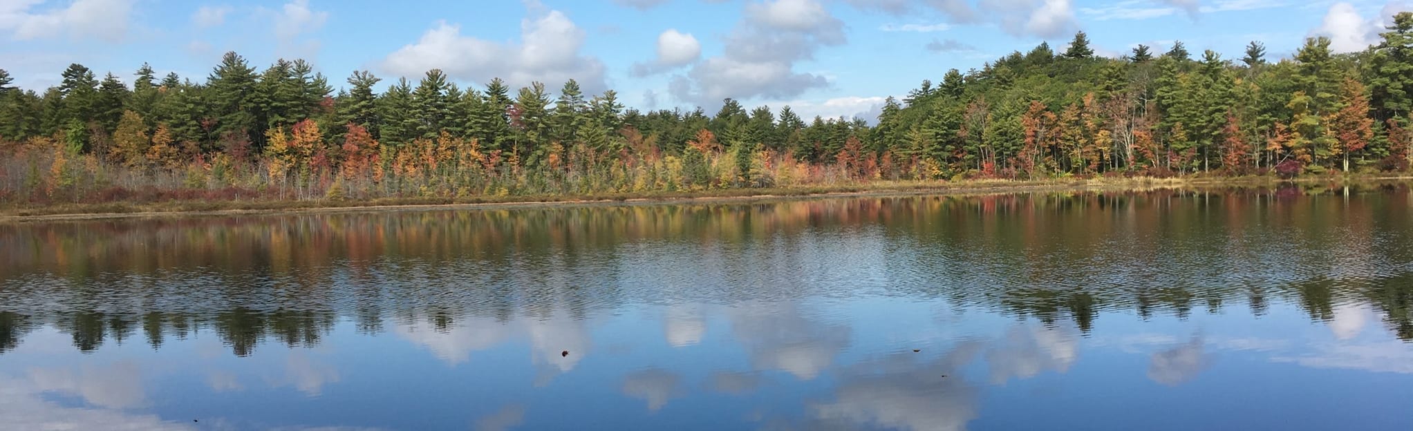 Beaver Pond to Lynx Trail and Broken Boulder Loop, New Hampshire 43