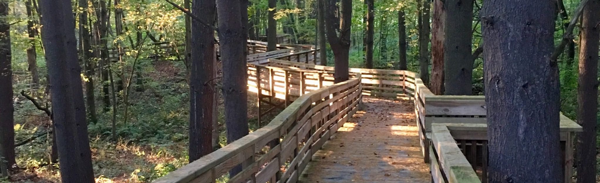 Fort River Birding and Nature Trail: 338 Reviews, Map - Massachusetts