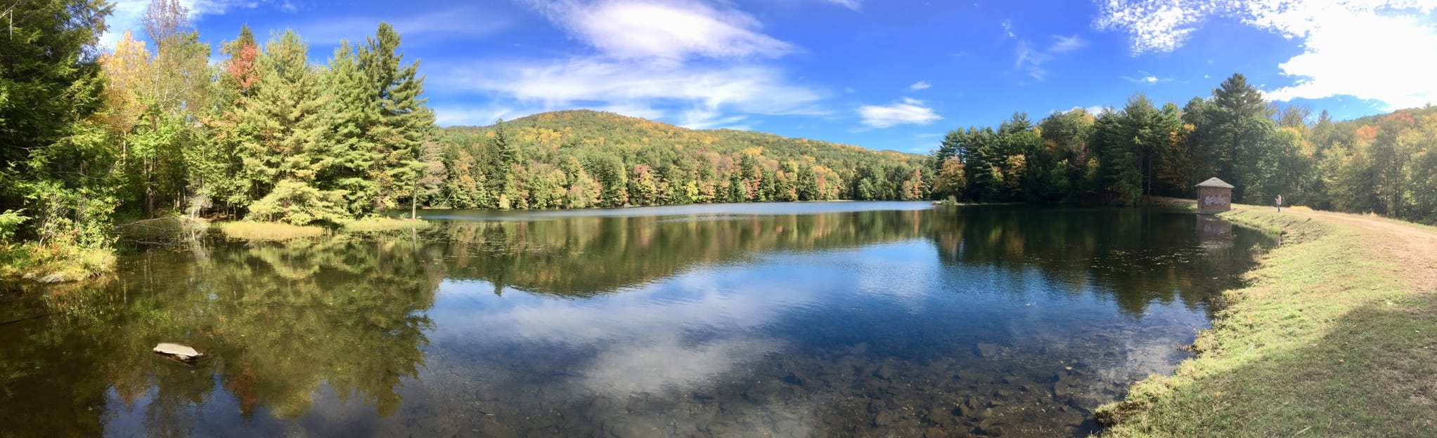 Black Rock, Lithia Springs, and Dry Brook Loop 303 Reviews, Map