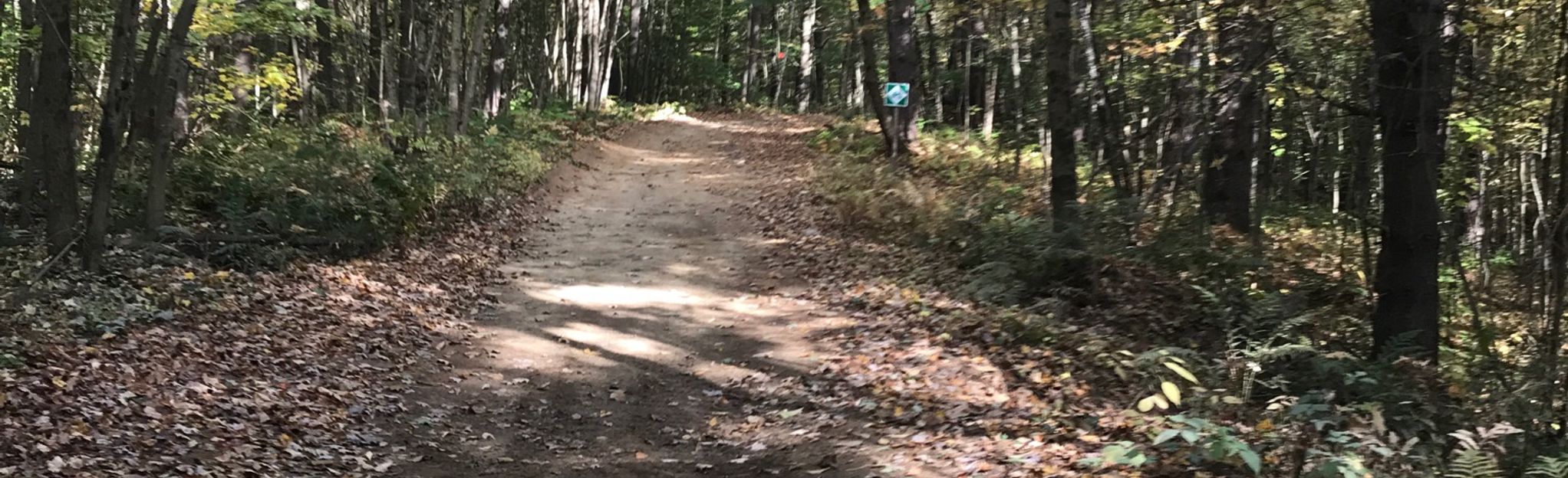 Old River Road, Deer Path, and Ridge Trail Loop 185 Reviews, Map