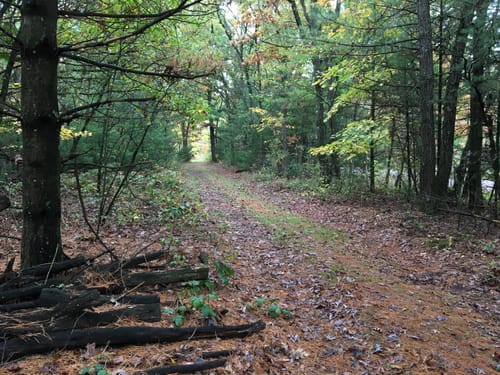 hartman creek bike trails
