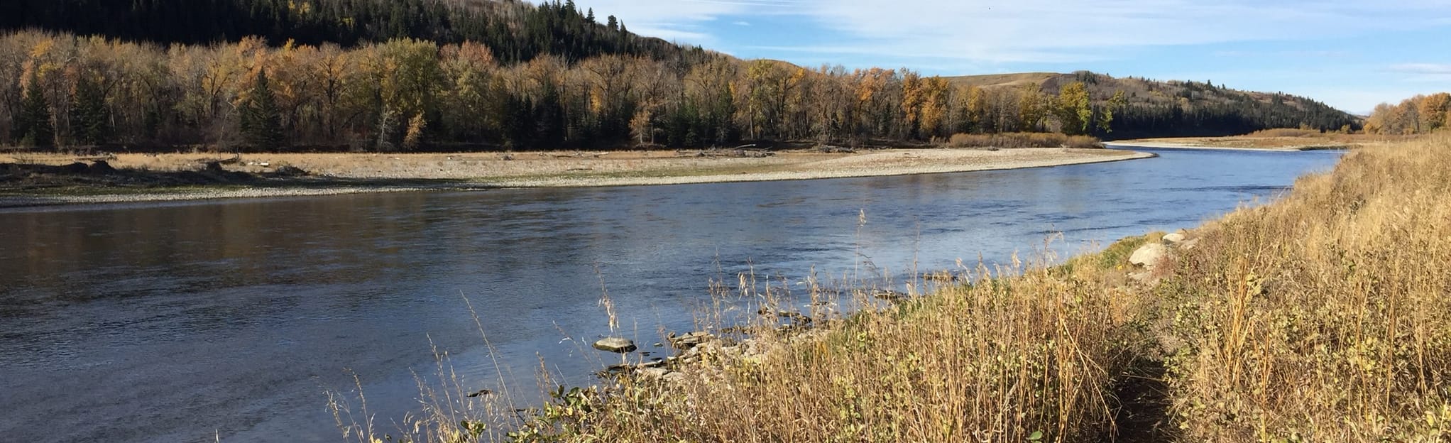 McKinnon Flats Bow River, Alberta, Canada 83 Reviews, Map AllTrails