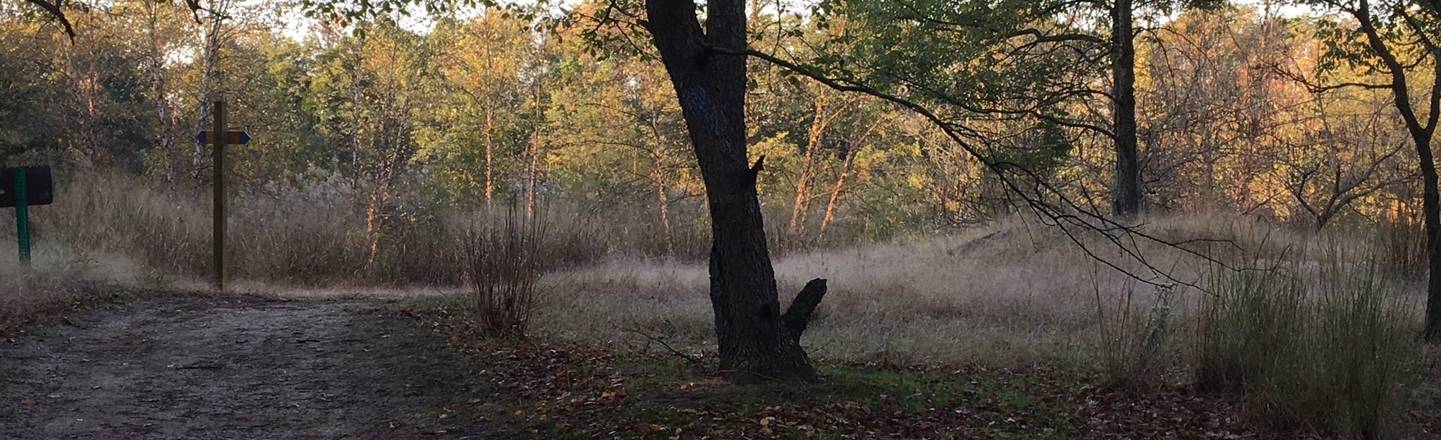 Palmyra Cove Nature Park Loop 177 foto's New Jersey AllTrails