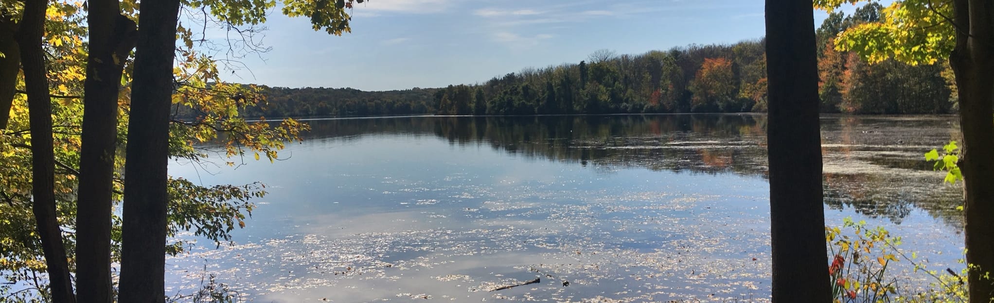 Nockamixon Lake Bike Path 329 Photos Pennsylvanie Randonnée