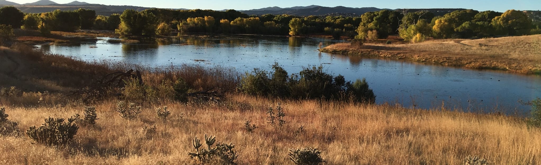 Cottonwood Peninsula Spur Trail At Willow Lake, Arizona 37 Reviews
