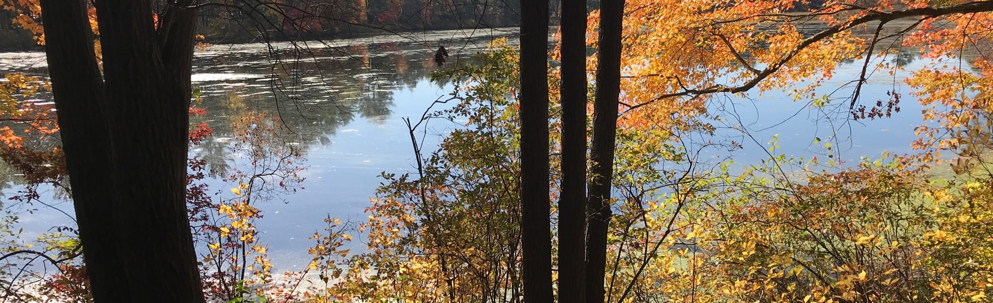 Stow Town Forest Blue, Red and AT&T Loop, Massachusetts 532 Reviews