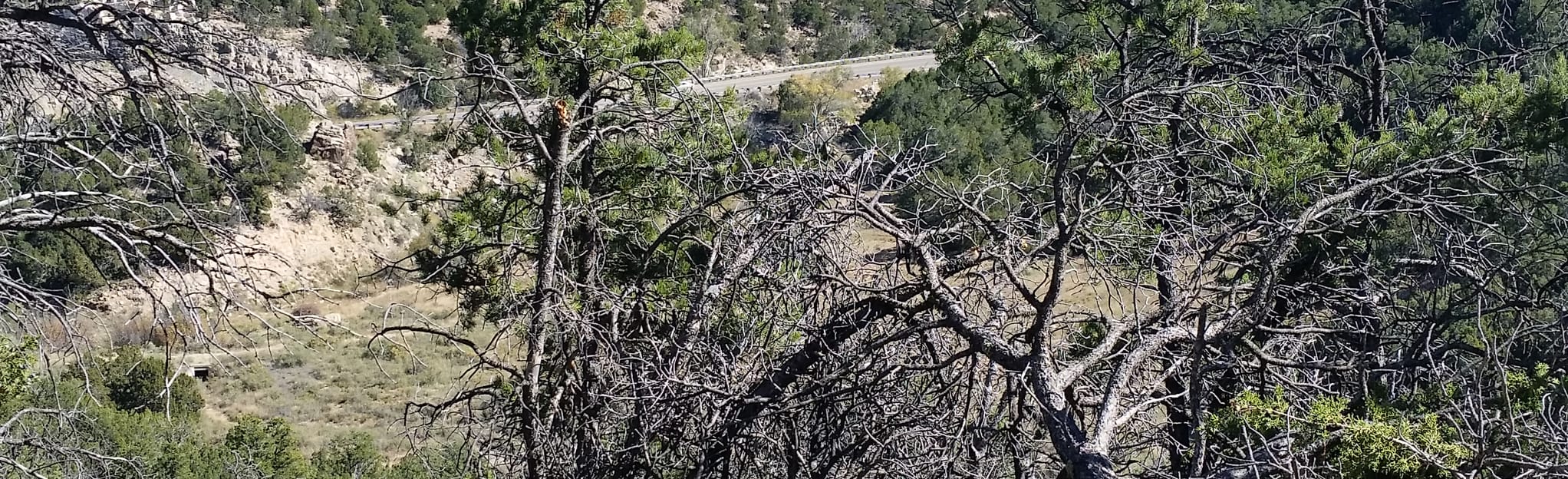 Tunnel, Otero, and Birdhouse Ridge, New Mexico - 174 Reviews, Map ...