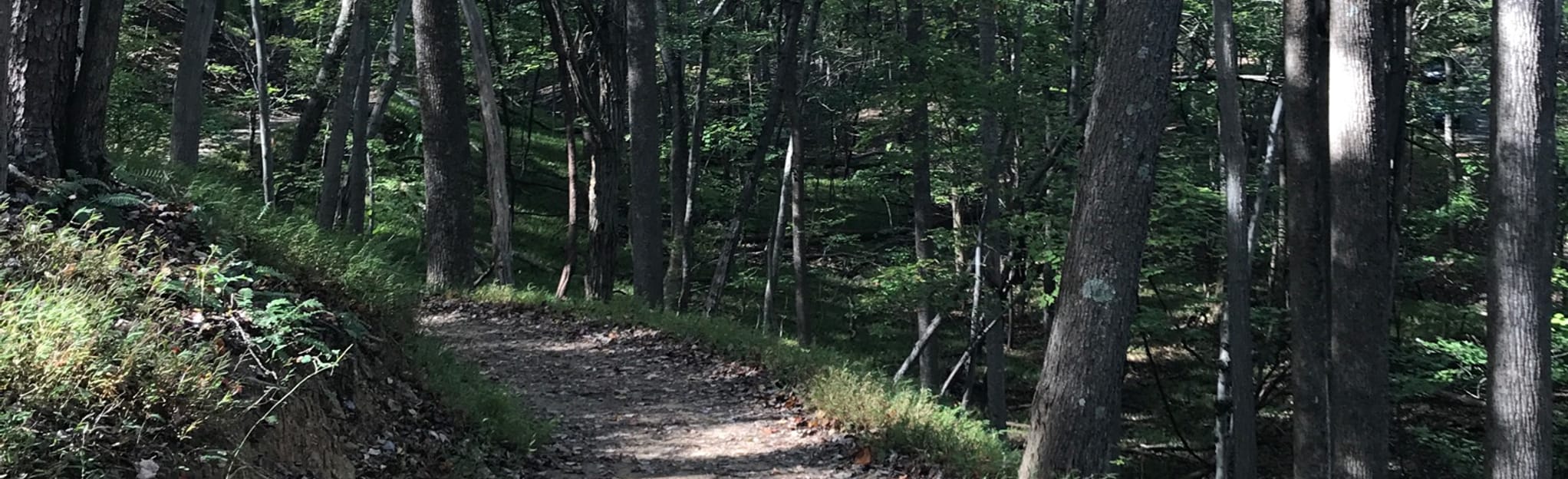 Pilot Mountain Trail from Pinnacle Hotel Road, North Carolina 191